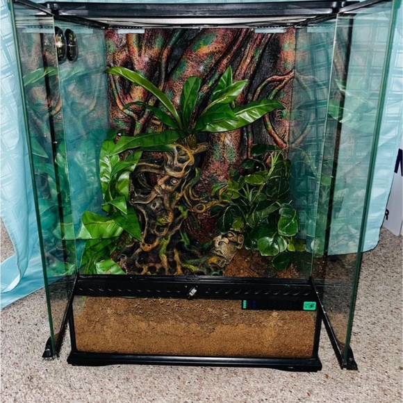 Reptile tank - Picture 2 of 2